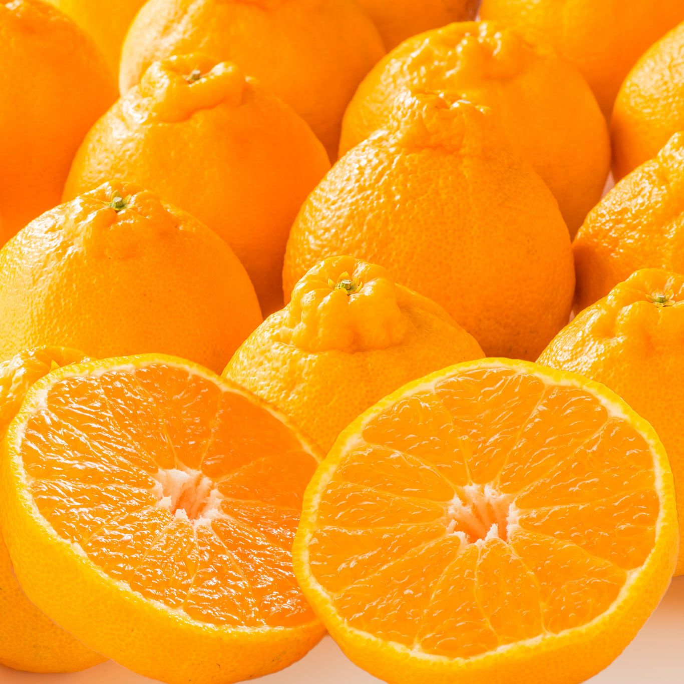 蔵熟不知火おでこ 約4kg（15～22玉入り）【送料無料】