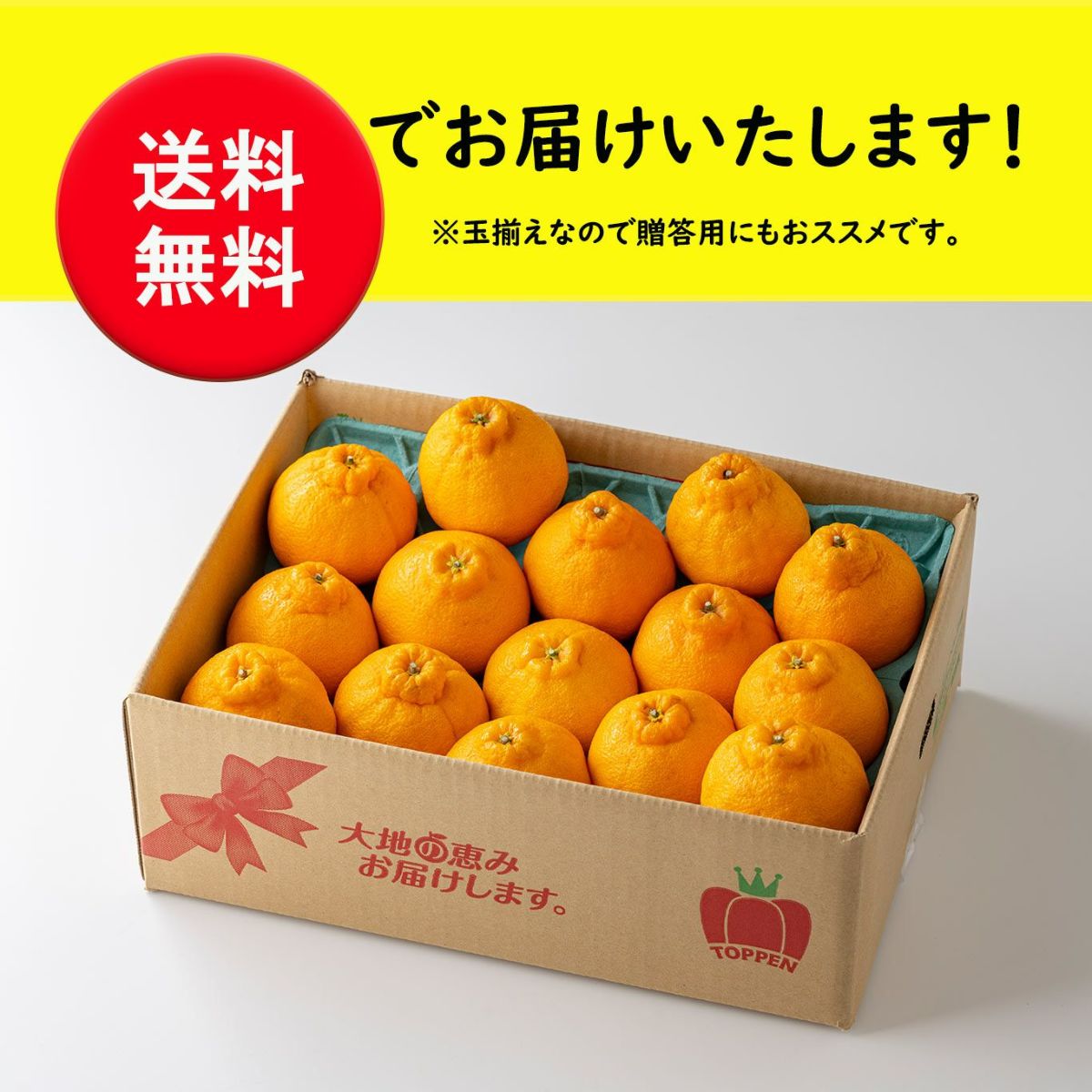  ≪特選≫玉揃え蔵熟不知火おでこ　３ｋｇ（9～16玉入）