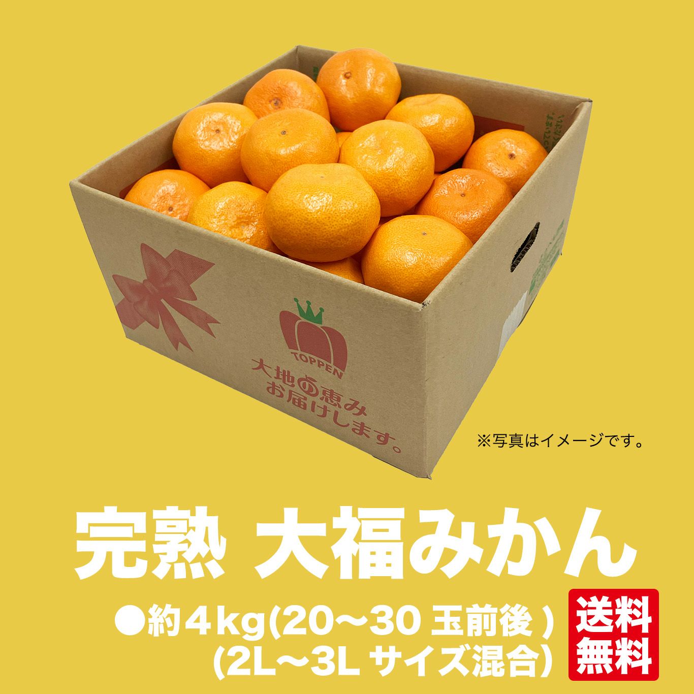 完熟大福みかん 約4kg（20玉前後／ 2L～3Lサイズ混合）【送料無料】