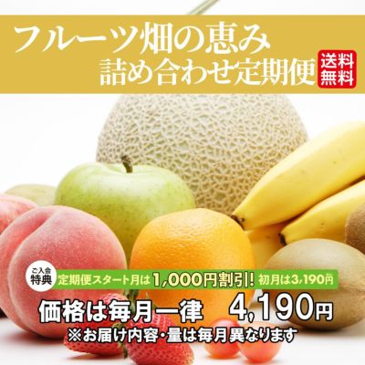 フルーツ畑の恵み詰め合わせ定期便≪2～5種類（2～4kg）詰合せ／月1回