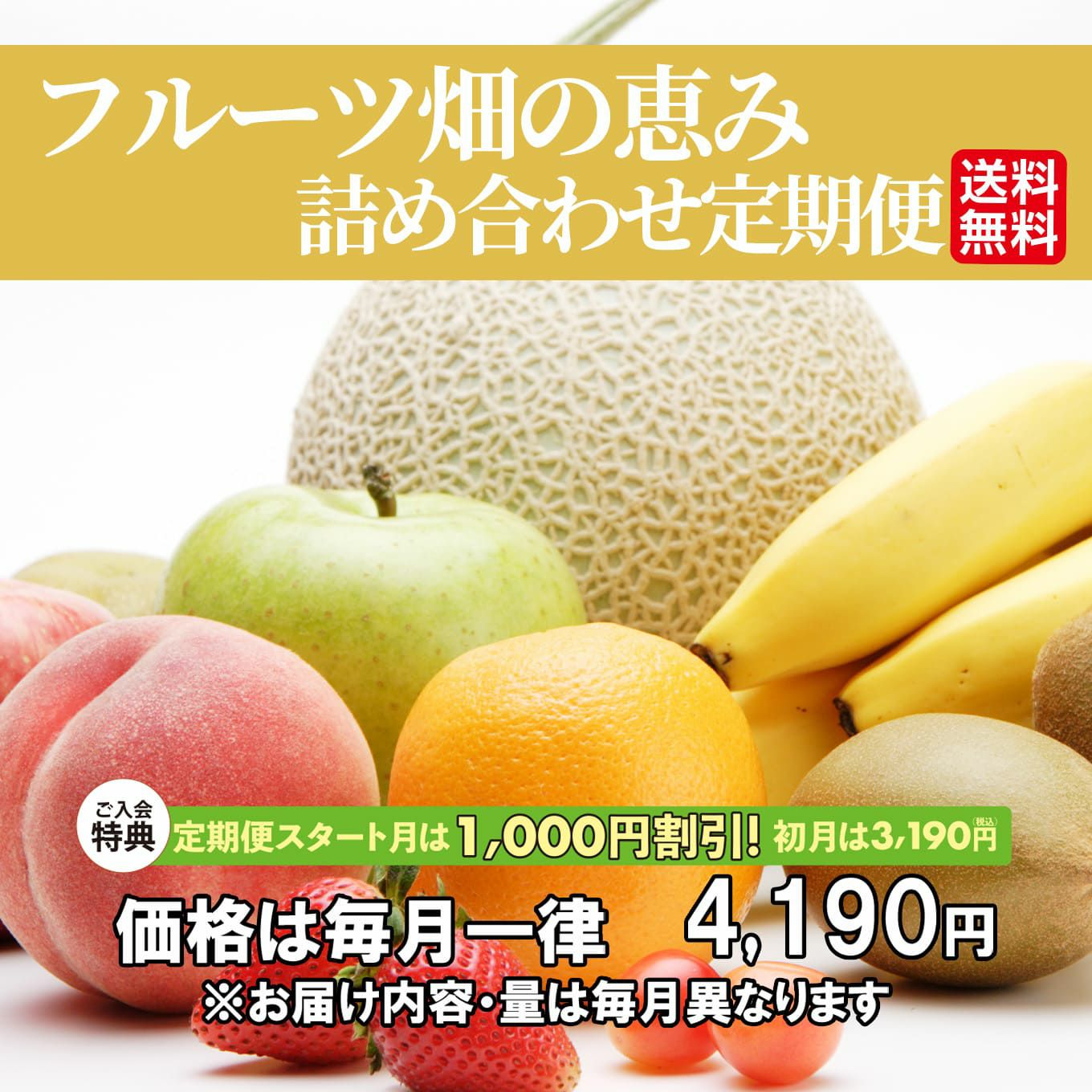 フルーツ畑の恵み詰め合わせ定期便≪2～5種類（2～4kg）詰合せ／月1回お届け：無期限≫【毎月一律価格・送料無料】