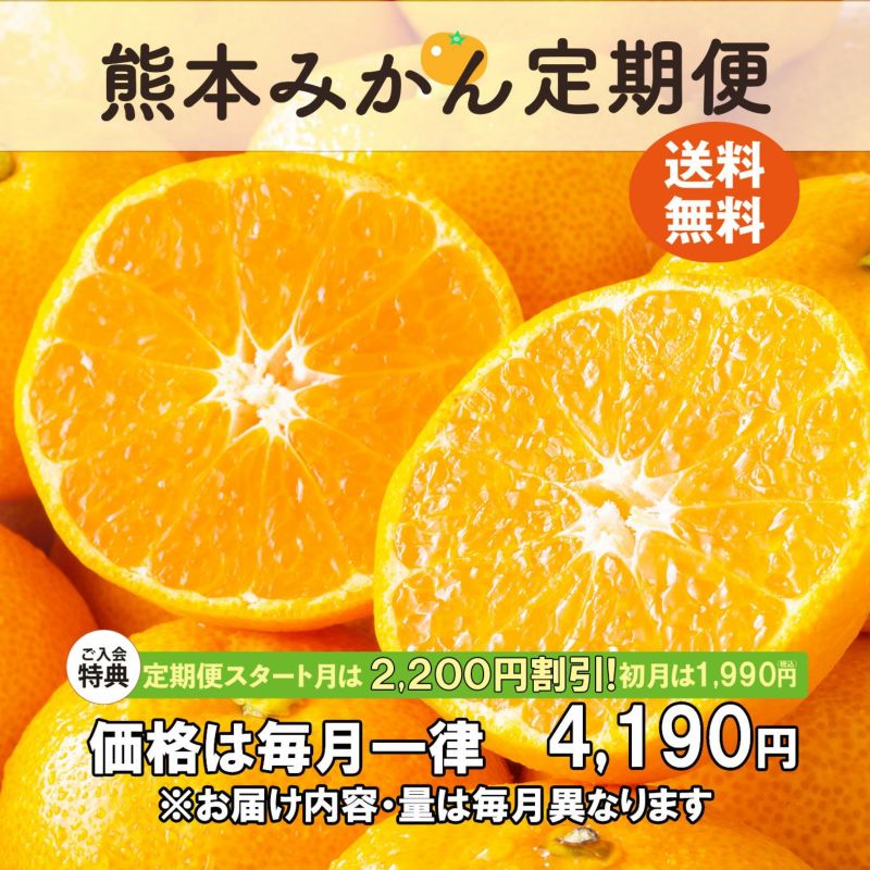 熊本みかん定期便≪月1回お届け便：無期限／初月のみ特別価格　2ヶ月目以降の価格は毎月一律≫【送料無料】