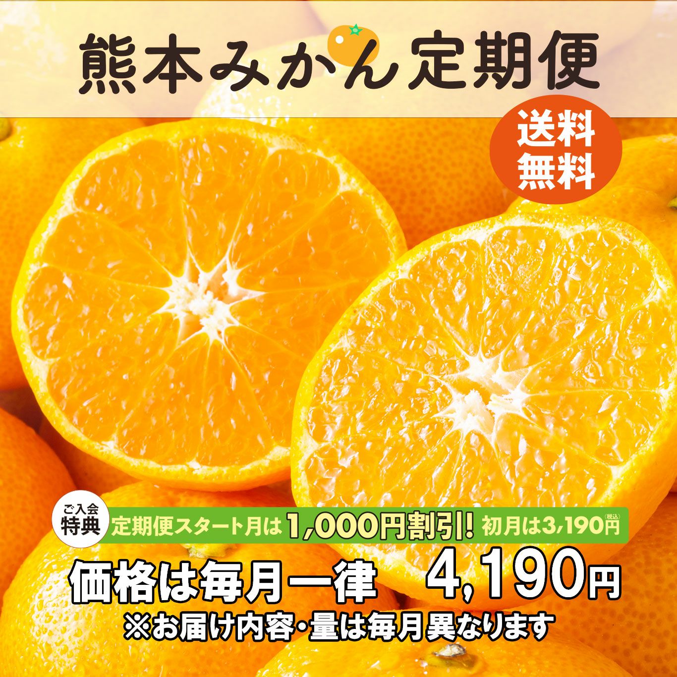 熊本みかん定期便≪月1回お届け便：無期限／初月のみ特別価格　2ヶ月目以降の価格は毎月一律≫【送料無料】