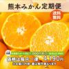 熊本みかん定期便≪月1回お届け便：無期限／初月のみ特別価格　2ヶ月目以降の価格は毎月一律≫【送料無料】