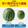 ≪２０２５年母の日限定ギフト≫ 小玉すいか＆アールスメロンセット【送料無料】