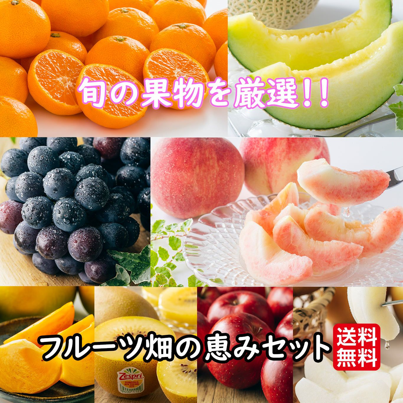 フルーツ畑の恵みセット≪旬の果物を２～５種類詰合せ≫【送料無料】