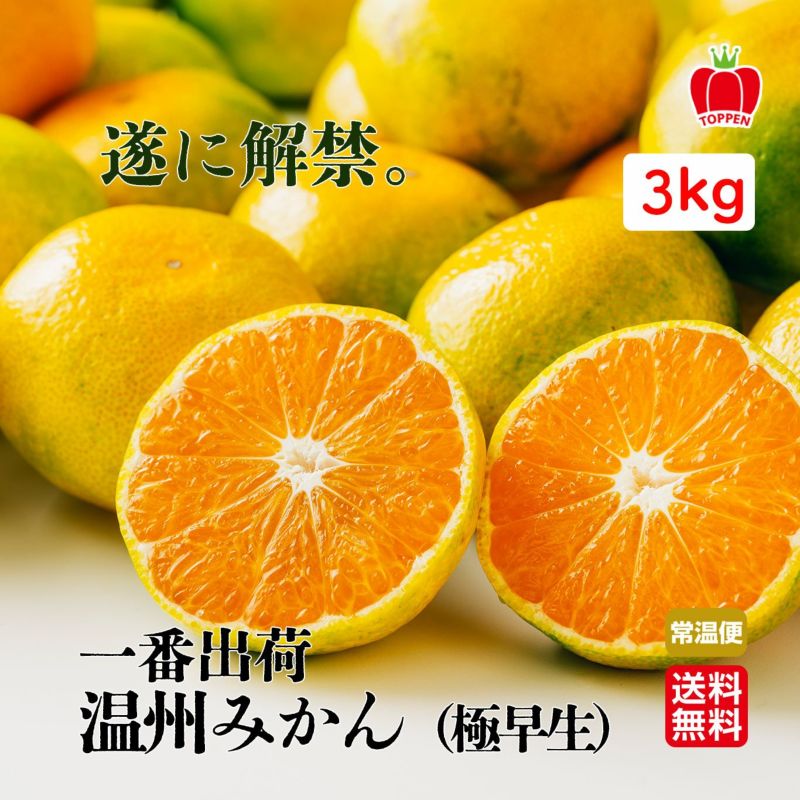 一番出荷　温州みかん（極早生） 約3kg（25～50玉前後 L～２Sサイズ）【送料無料】