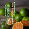 冷凍不知火おでこ（1袋約500g×３袋）【送料無料】≪冷凍便≫