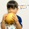 完熟 新高梨　約2.3kg（5～6玉）【送料無料】