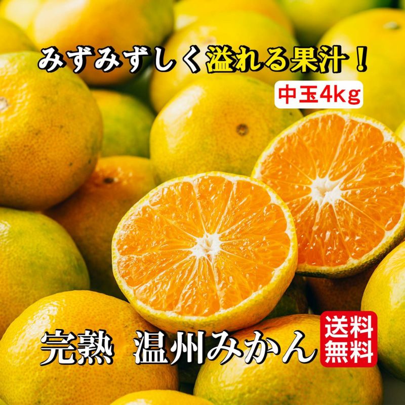 完熟　温州みかん（中玉） ４kg（３０～40玉入り Ｌ・Mサイズ）【送料無料】