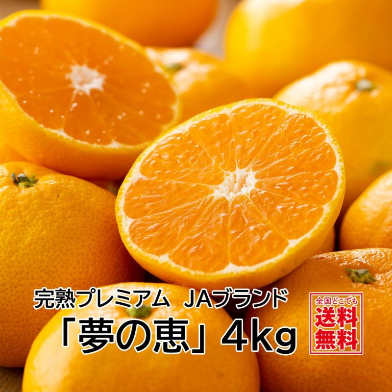 甘熟プレミアム　JAブランド「夢の恵」４kg（30～50玉／S・M・Lサイズ）【送料無料】