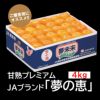 甘熟プレミアム　JAブランド「夢の恵」４kg（30～50玉／S・M・Lサイズ）【送料無料】