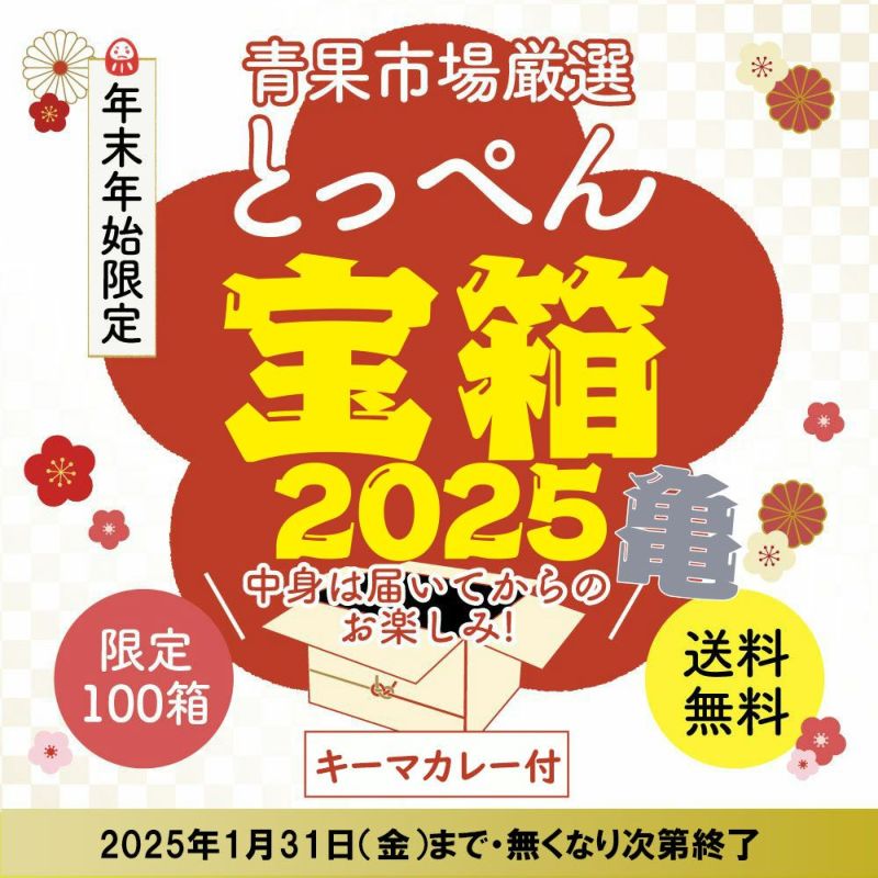 ≪限定100箱≫とっぺん宝箱2025　亀【送料無料】