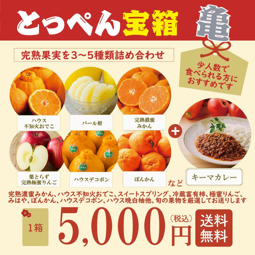 ≪限定100箱≫とっぺん宝箱2026　亀【送料無料】