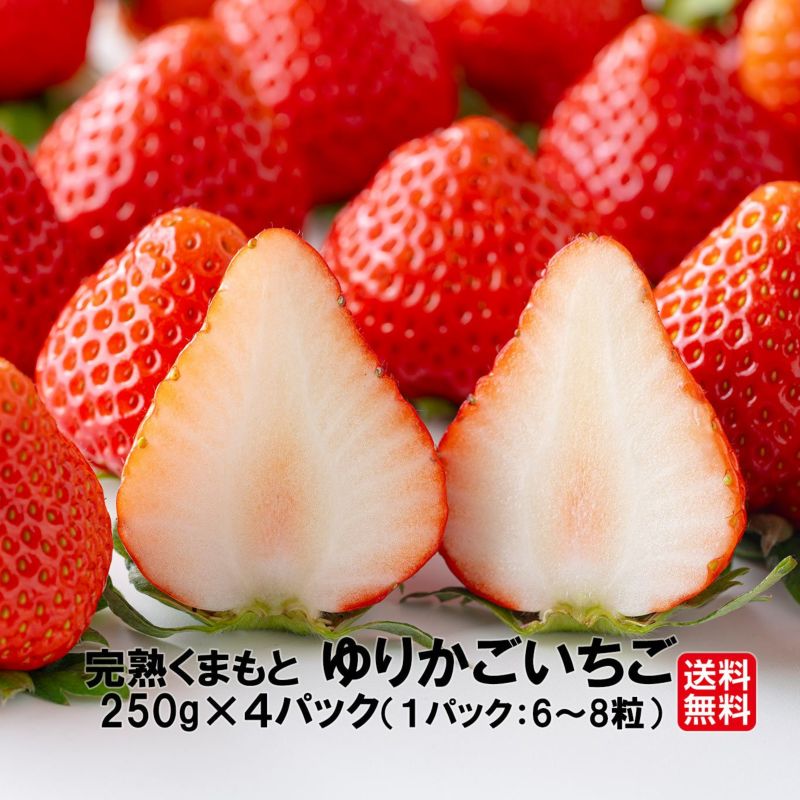 完熟くまもと ゆりかごいちご（250ｇ×4パック／1パック：6～8粒