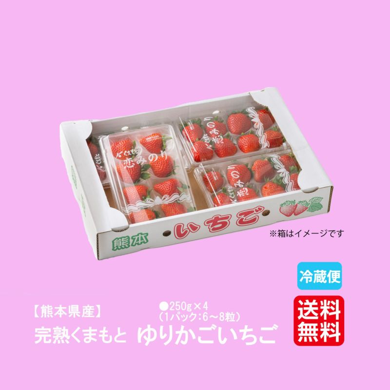 完熟くまもと ゆりかごいちご（250ｇ×4パック／1パック：6～8粒