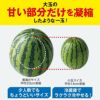 少人数家族にもおすすめ！熊本産 小玉すいか 1玉【送料無料】