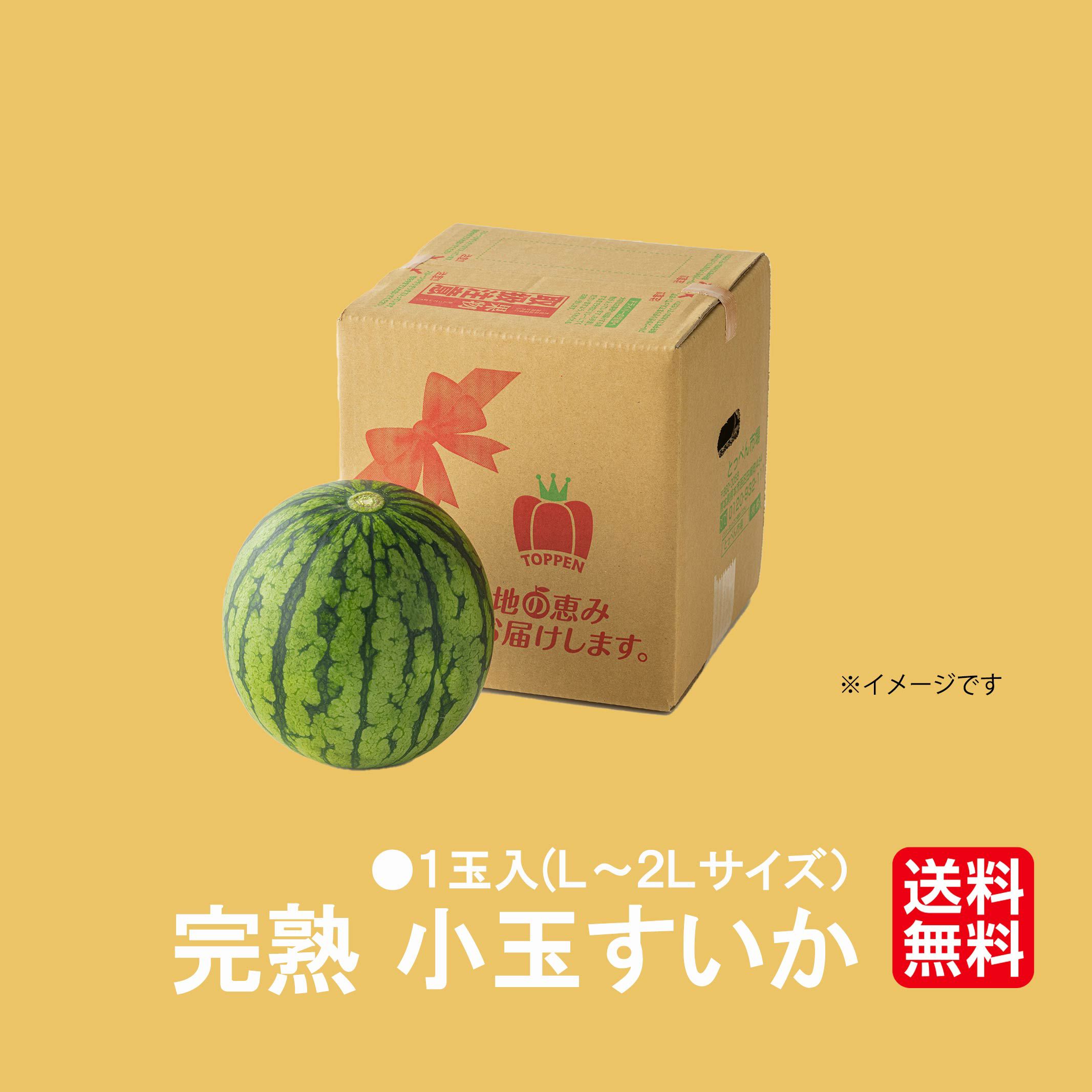 少人数家族にもおすすめ！熊本産 小玉すいか 1玉【送料無料】