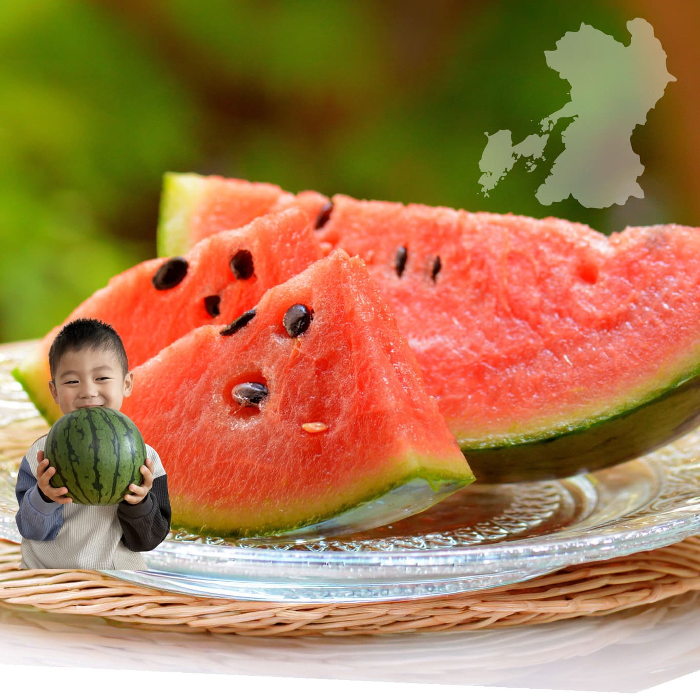 少人数家族にもおすすめ！熊本産 小玉すいか 1玉【送料無料】