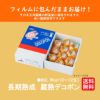 長期熟成　蔵熟玉揃いデコポン 約2.8kg（10～12玉入り ）【送料無料】