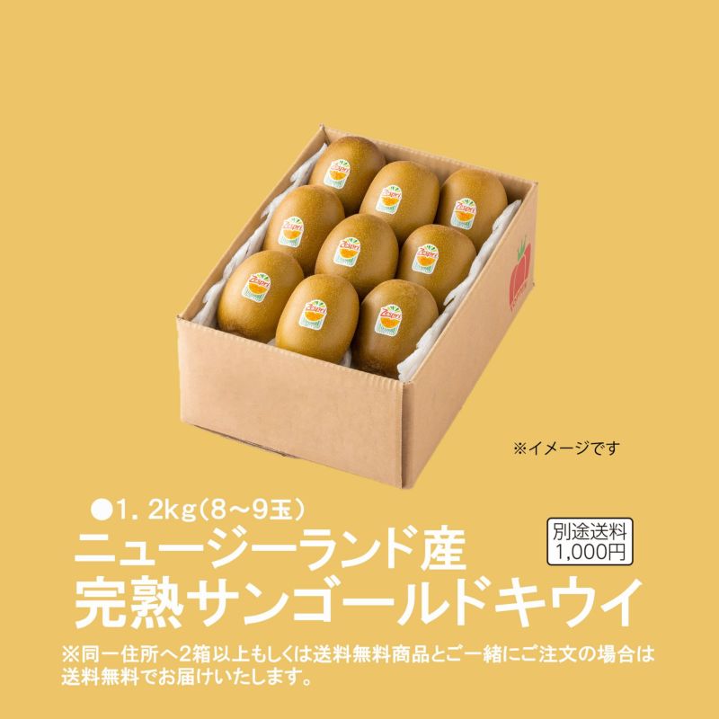 ニュージーランド産 完熟サンゴールドキウイ 約1.2kg - とっぺん市場