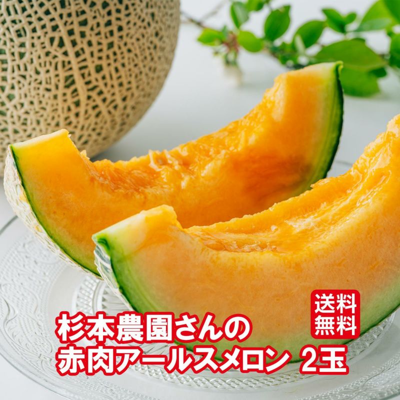  杉本農園さんの赤肉アールスメロン　 2玉入り【送料無料】