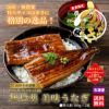 山田水産謹製　鹿児島高級 無投薬美味うなぎ （特大約180g×2尾入り）【送料無料】≪冷凍便≫