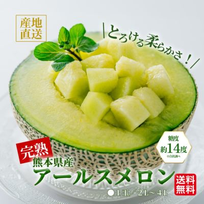 熊本産西瓜メロン imgrc0111139129.jpg?fitin=272:272