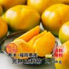 完熟　太秋柿　約2.5ｋｇ（8～10玉）【送料無料】