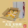 極味シリーズ　大玉太秋柿　約3.5ｋｇ（７～８玉）【送料無料】