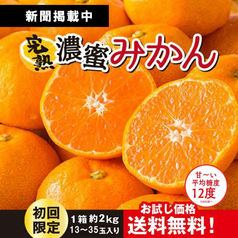 新聞掲載中　完熟濃蜜みかん　初回限定　1箱約２ｋｇ15～35玉入　お試し価格送料無料