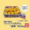 とっぺんブランド極味シリーズ　金峰プレミアムみかん“金峰”約３ｋｇ