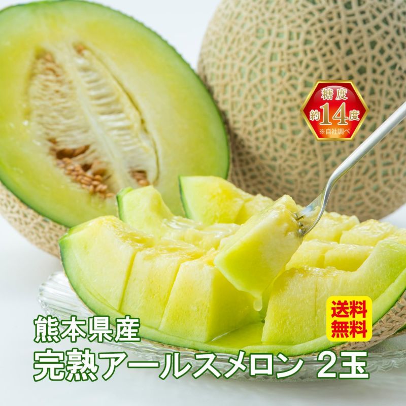 熊本県産　完熟　アールスメロン 2玉（２L～４L） 【送料無料】
