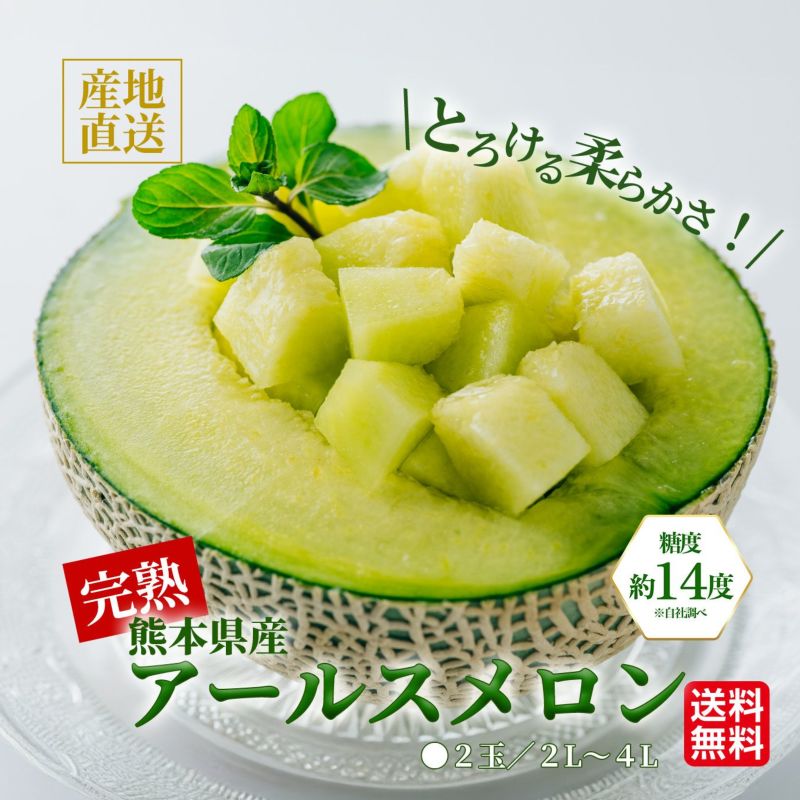 熊本県産　完熟　アールスメロン 2玉（２L～４L） 【送料無料】