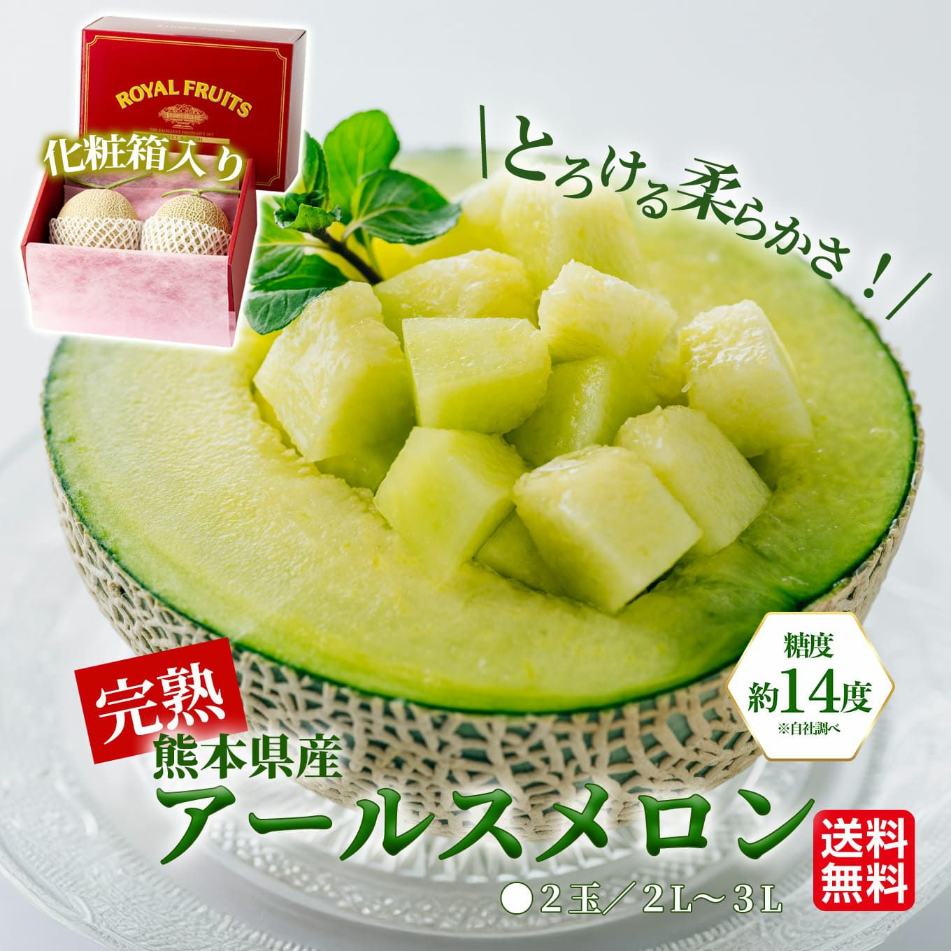 熊本県産　完熟　アールスメロン 2玉（２L～４L） 【送料無料】