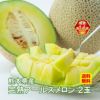 熊本県産　完熟　アールスメロン 2玉（２L～４L） 【送料無料】