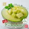 熊本県産　完熟　アールスメロン 2玉（２L～４L） 【送料無料】