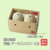 熊本県産　完熟　アールスメロン 2玉（２L～４L） 【送料無料】