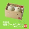熊本県産　完熟　アールスメロン 2玉（２L～４L） 【送料無料】