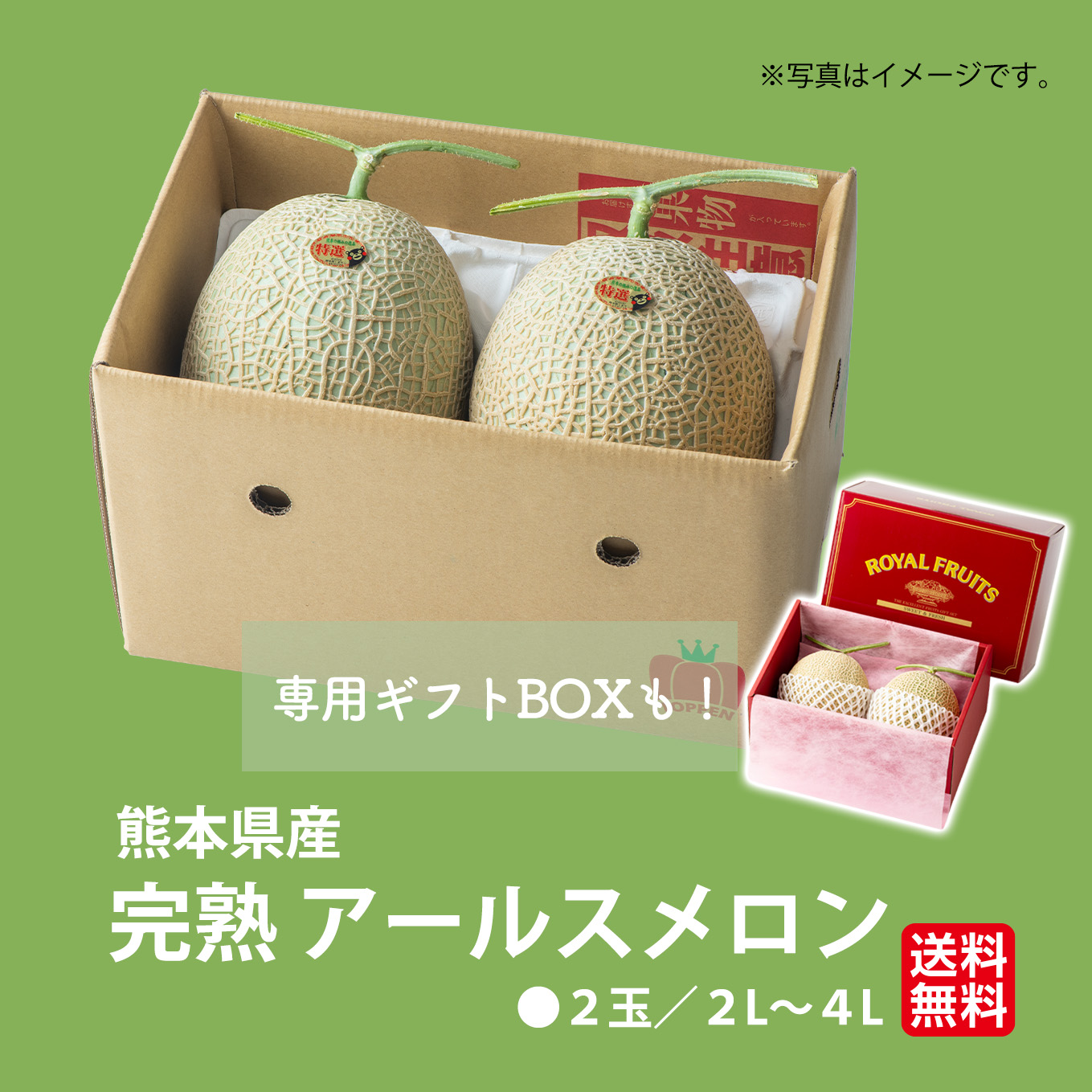 熊本県産　完熟　アールスメロン 2玉（２L～４L） 【送料無料】