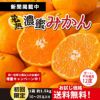 ≪初回限定！ご自宅お試し価格≫完熟濃蜜みかん 約1.5kg（10～25玉／大小混合）※同一住所２箱以上で送料無料＆１箱当たり500ｇ増量中！！