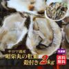 サロマ湖産　昭栄丸の牡蠣　殻付き　２ｋｇ（12～20個）【送料無料】≪冷蔵便≫