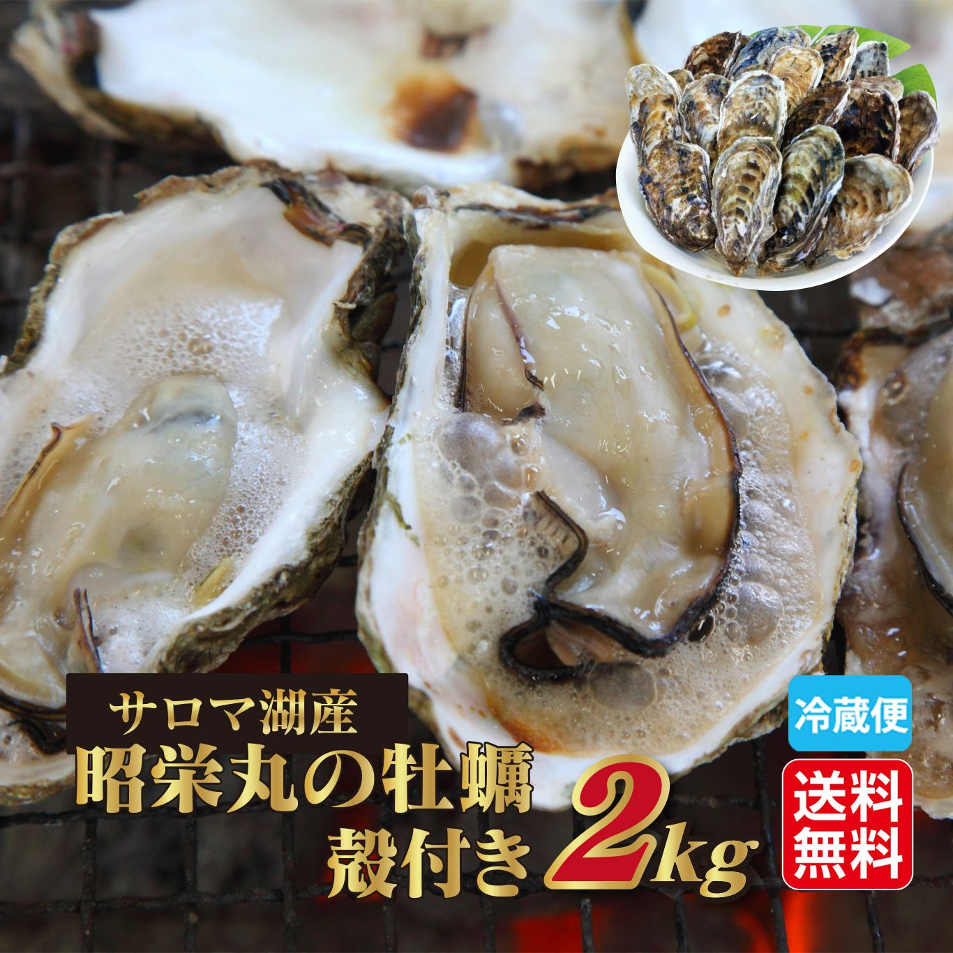サロマ湖産　昭栄丸の牡蠣　殻付き　２ｋｇ（12～20個）【送料無料】≪冷蔵便≫
