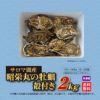 サロマ湖産　昭栄丸の牡蠣　殻付き　２ｋｇ（12～20個）【送料無料】≪冷蔵便≫