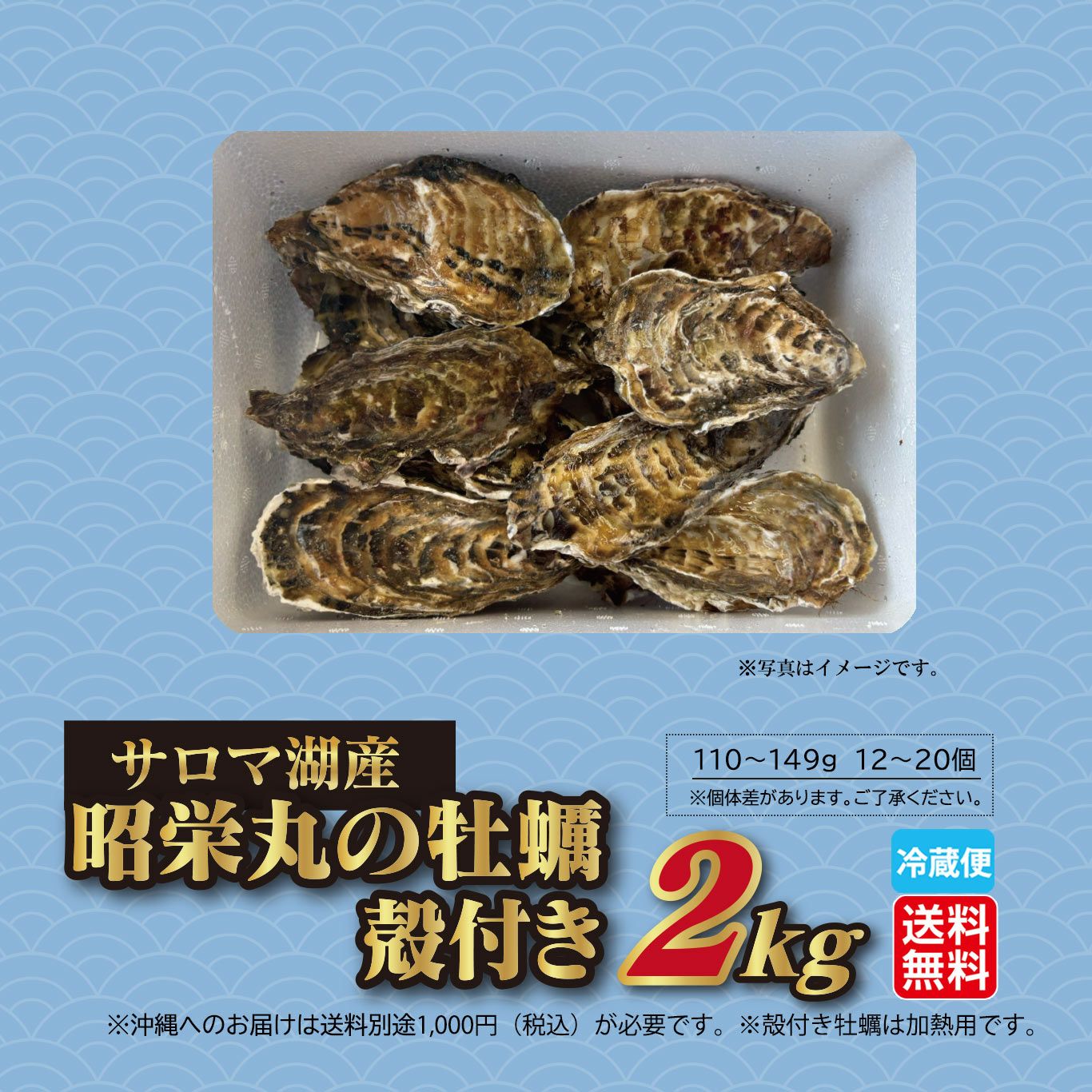 サロマ湖産　昭栄丸の牡蠣　殻付き　２ｋｇ（12～20個）【送料無料】≪冷蔵便≫