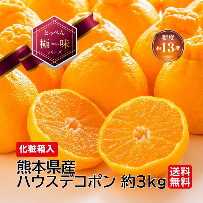 ≪極味ブランド≫熊本県産　完熟ハウスデコポン　約3kg（7～10玉前後）【送料無料】