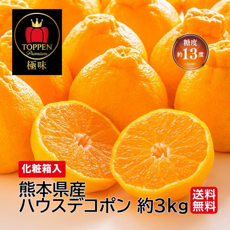 ≪極味ブランド≫熊本県産　完熟ハウスデコポン　約3kg（7～10玉前後）【送料無料】