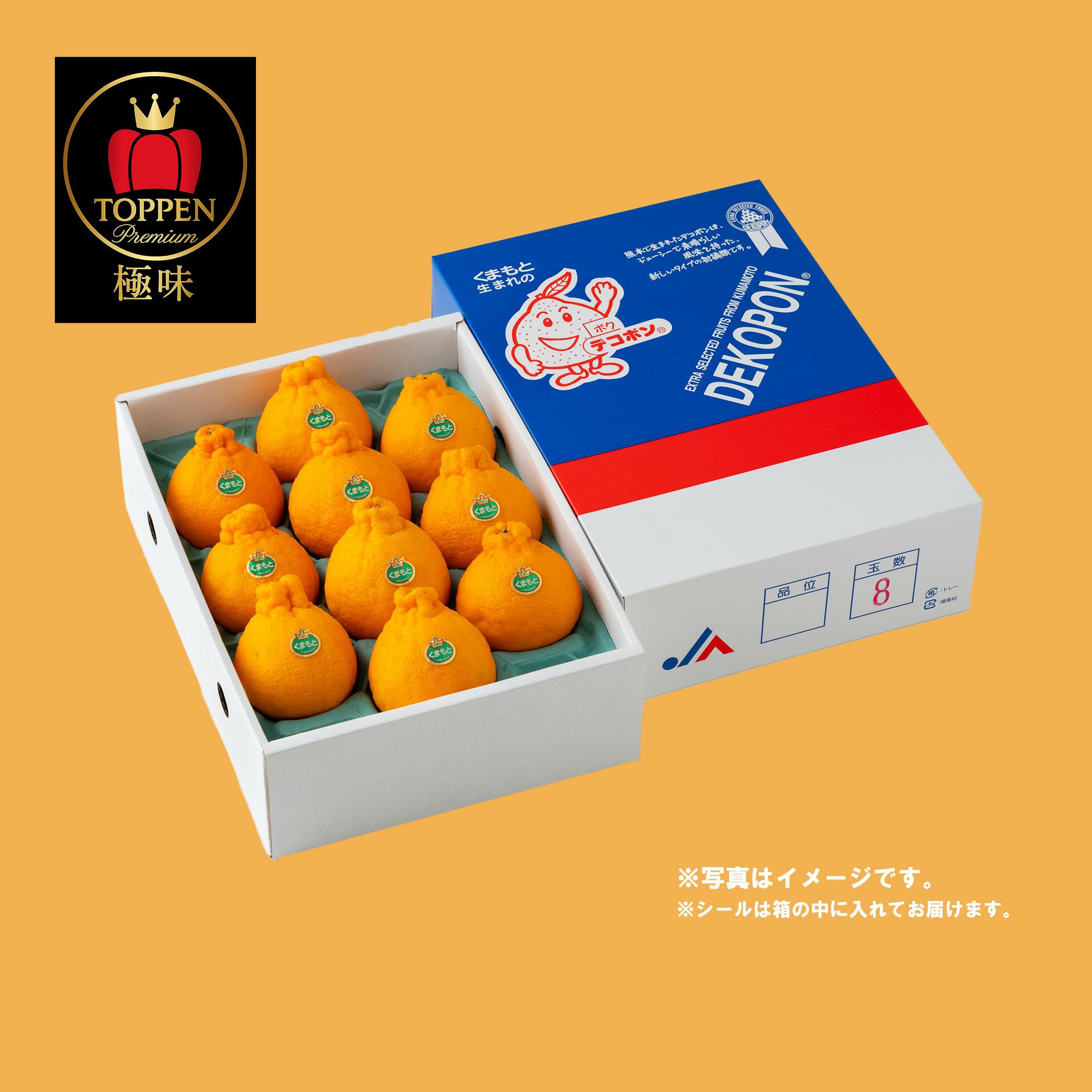 ≪極味ブランド≫熊本県産　完熟ハウスデコポン　約3kg（7～10玉前後）【送料無料