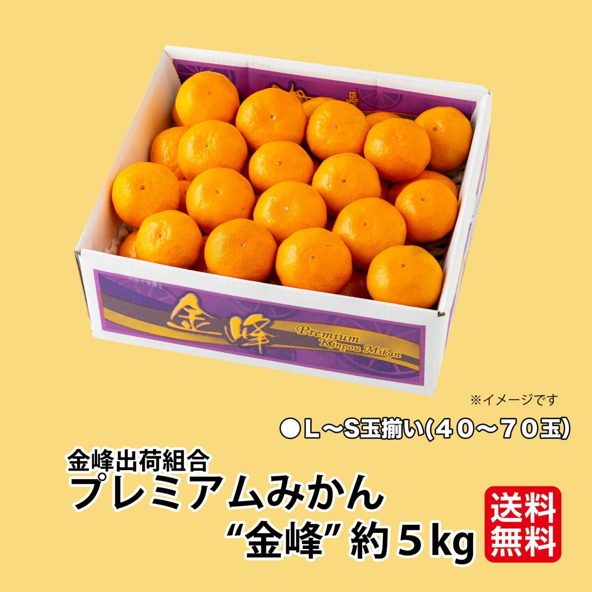 ≪極味シリーズ≫金峰出荷組合　プレミアムみかん“金峰” 約5kg（40～70玉入 Ｌ～Ｓサイズの玉揃い）【送料無料】