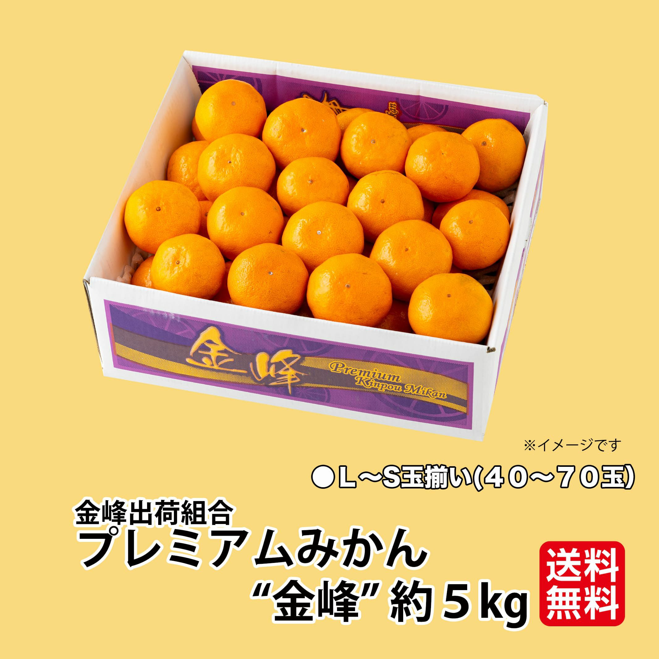 ≪極味シリーズ≫金峰出荷組合　プレミアムみかん“金峰” 約5kg（40～70玉入 Ｌ～Ｓサイズの玉揃い）【送料無料】